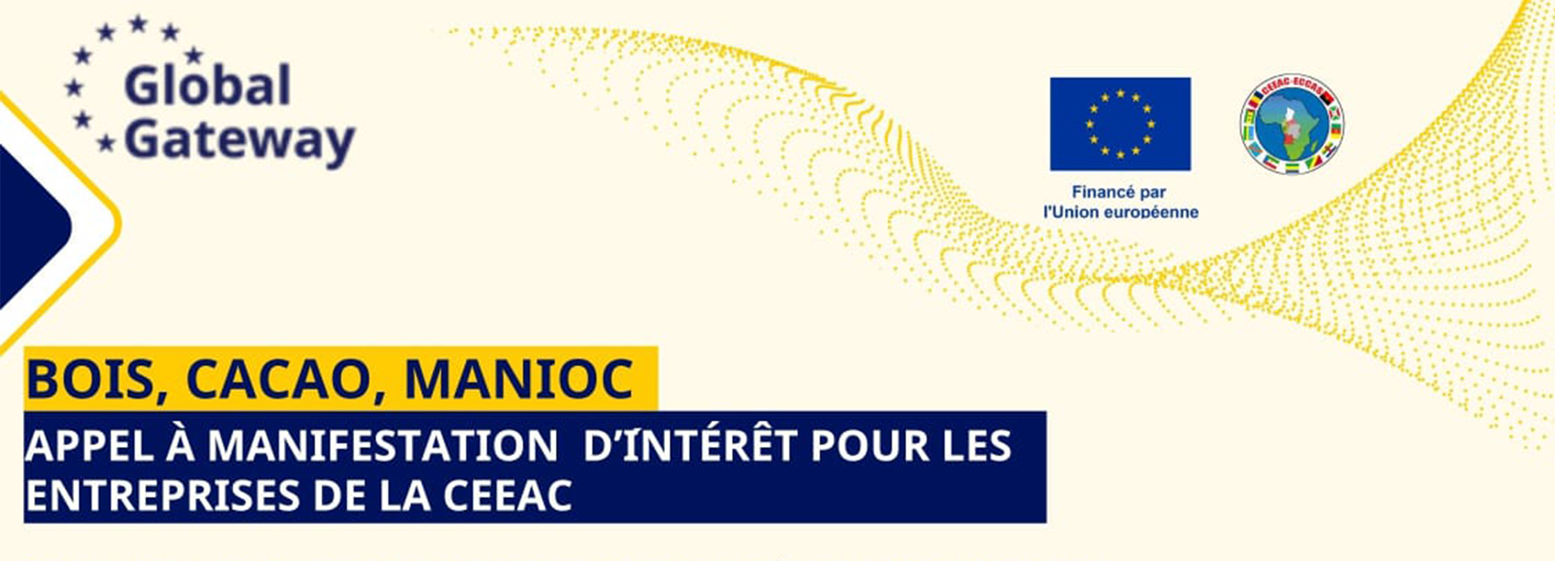 Entreprises de la CEEAC - Appel à manifestation d'intérêt Appel à manifestation d'intérêt pour les entreprises de la CEEAC