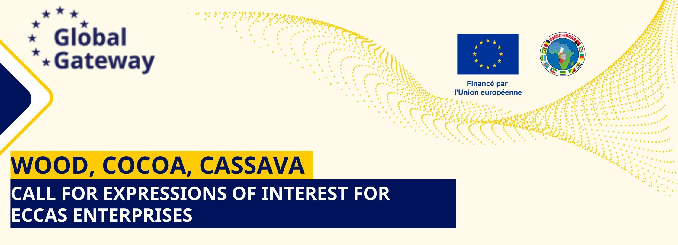 Call for expressions of interest for ECCAS Entreprises
